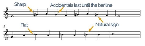 what is accidental in music? how does randomness influence the creation of classical compositions?